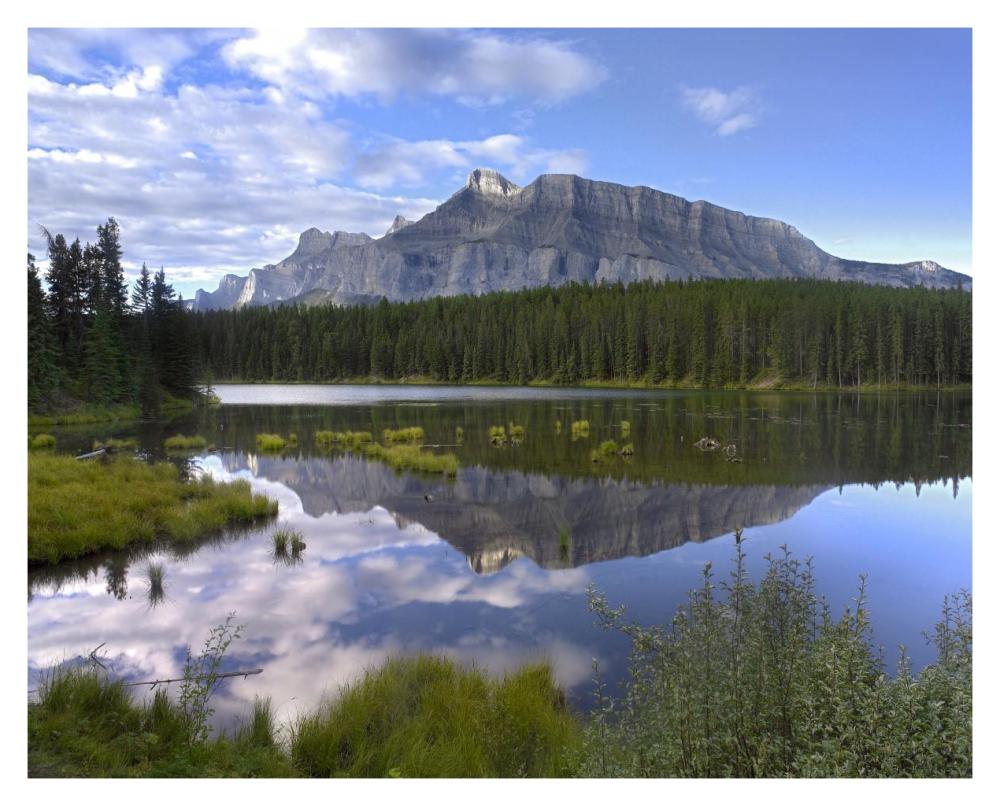 Mount Rundle And Boreal Forest Reflected In Johnson Lake, Banff National Park, Alberta, Canada-Paper Art-37X30