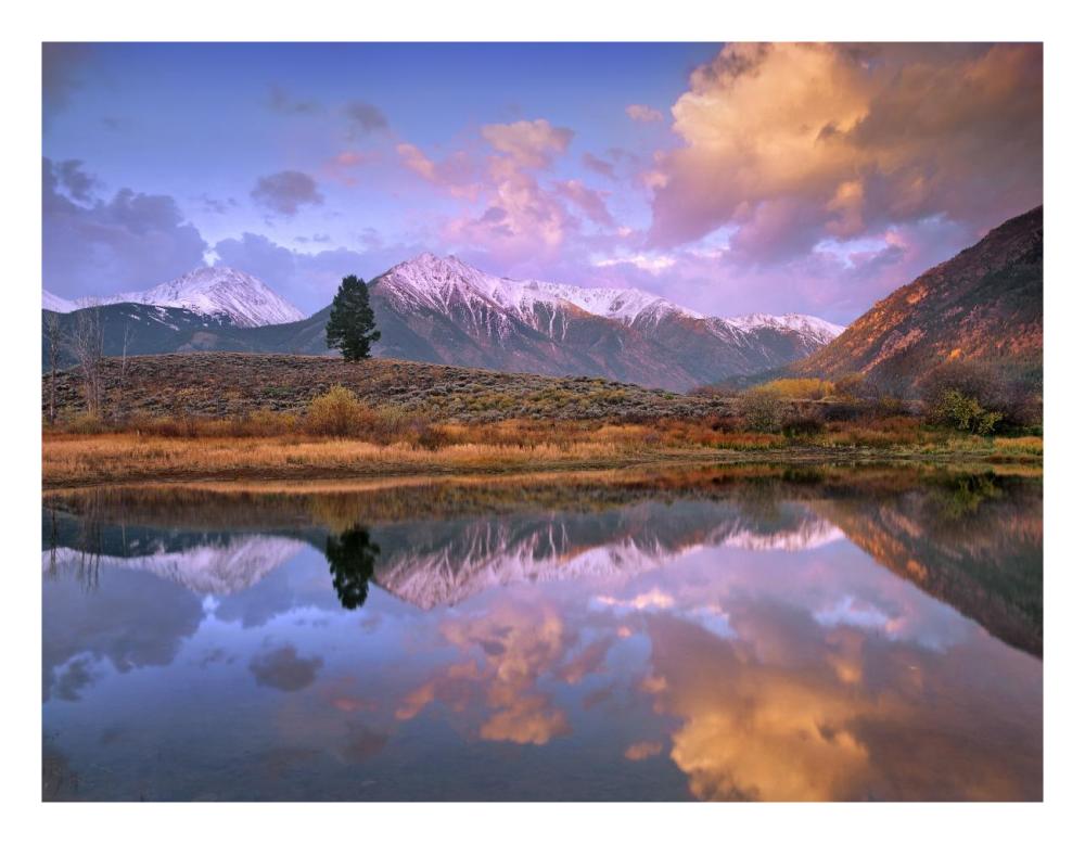 La Plata And Twin Peaks In The Sawatch Range Reflected In Twin Lakes With A Lone Tree, Colorado-Paper Art-26X20