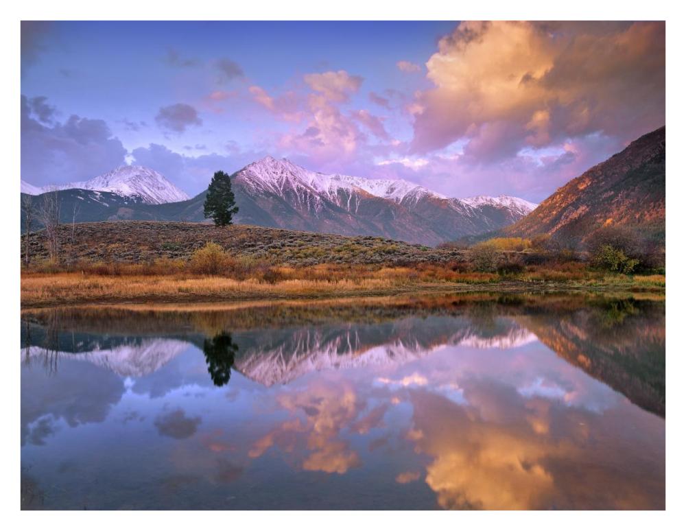 La Plata And Twin Peaks In The Sawatch Range Reflected In Twin Lakes With A Lone Tree, Colorado-Paper Art-34X26