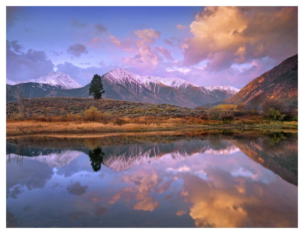 La Plata And Twin Peaks In The Sawatch Range Reflected In Twin Lakes With A Lone Tree, Colorado-Paper Art-50X38