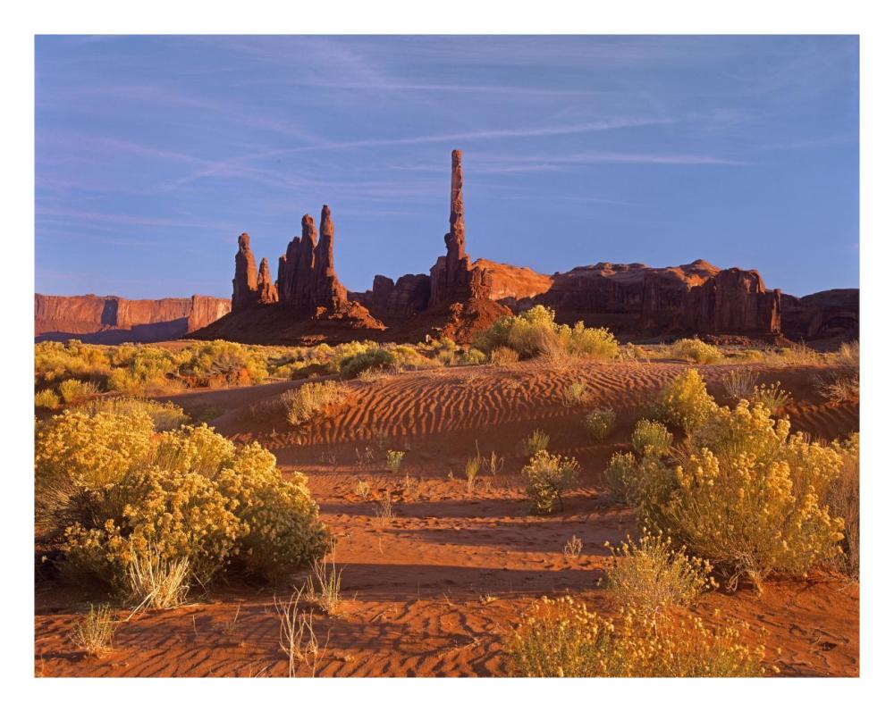 Totem Pole And Yei Bi Chei With Sand Dunes And Shrubs, Monument Valley, Arizona And Utah Border-Paper Art-26X20