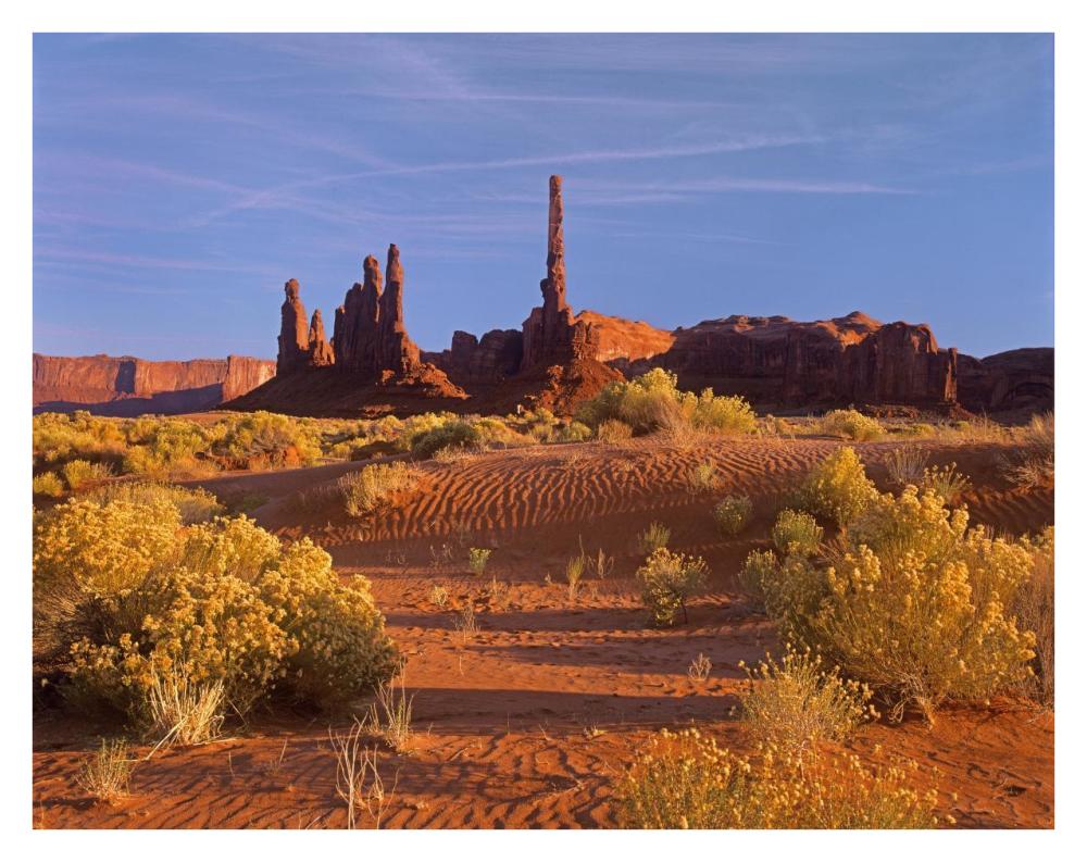 Totem Pole And Yei Bi Chei With Sand Dunes And Shrubs, Monument Valley, Arizona And Utah Border-Paper Art-34X26