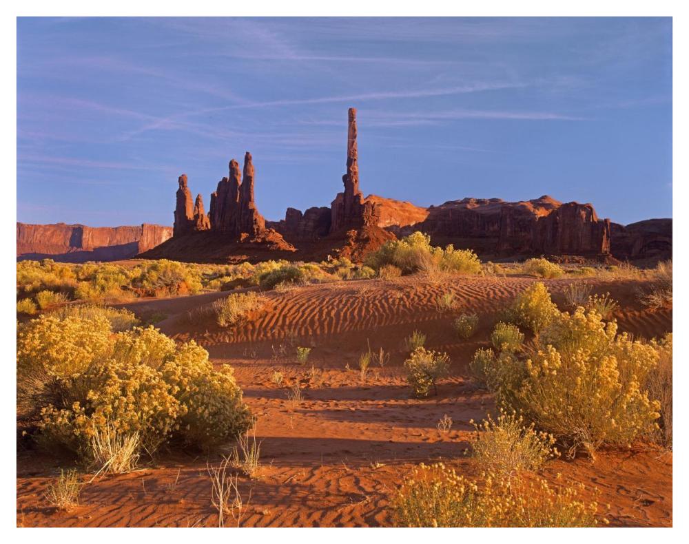 Totem Pole And Yei Bi Chei With Sand Dunes And Shrubs, Monument Valley, Arizona And Utah Border-Paper Art-42X32