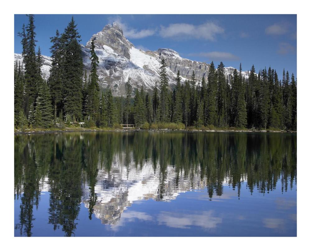 Wiwaxy Peaks And Cathedral Mountain At Lake O'Hara, Yoho National Park, British Columbia, Canada-Paper Art-22X18