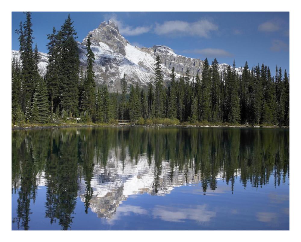 Wiwaxy Peaks And Cathedral Mountain At Lake O'Hara, Yoho National Park, British Columbia, Canada-Paper Art-26X22