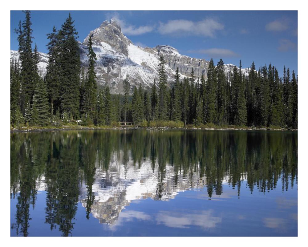 Wiwaxy Peaks And Cathedral Mountain At Lake O'Hara, Yoho National Park, British Columbia, Canada-Paper Art-30X24