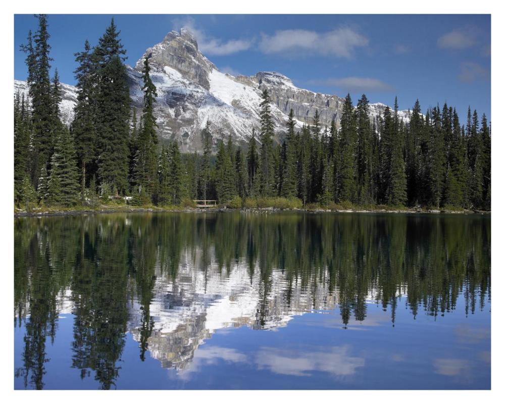 Wiwaxy Peaks And Cathedral Mountain At Lake O'Hara, Yoho National Park, British Columbia, Canada-Paper Art-37X30