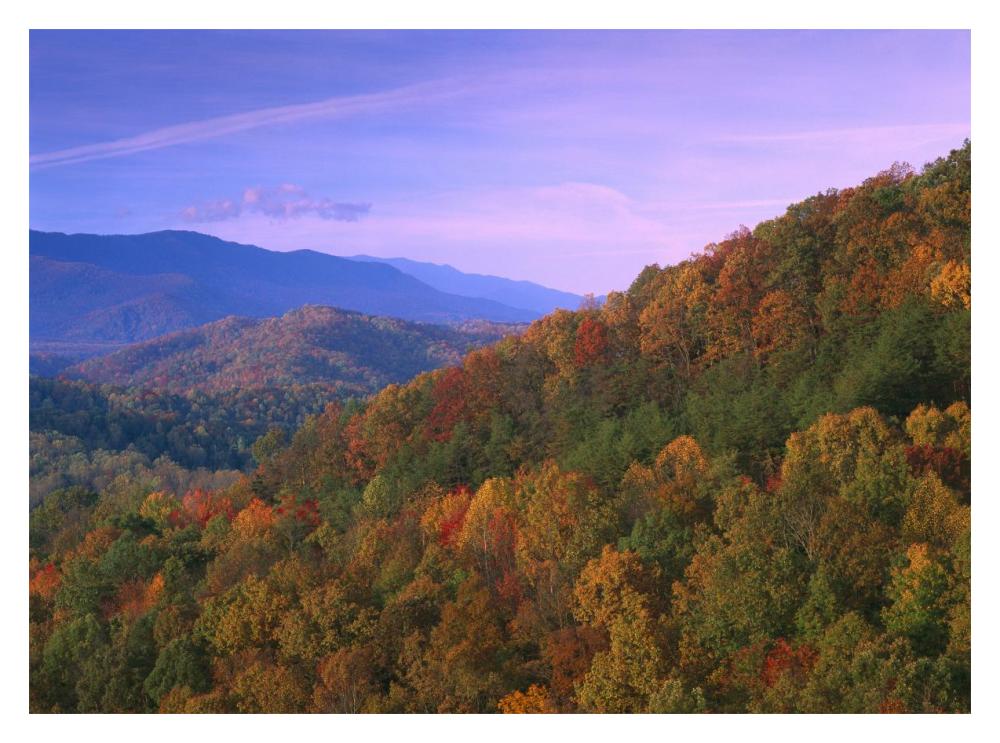 Appalachian Mountains Ablaze With Fall Color, Great Smoky Mountains National Park, North Carolina-Paper Art-18X14