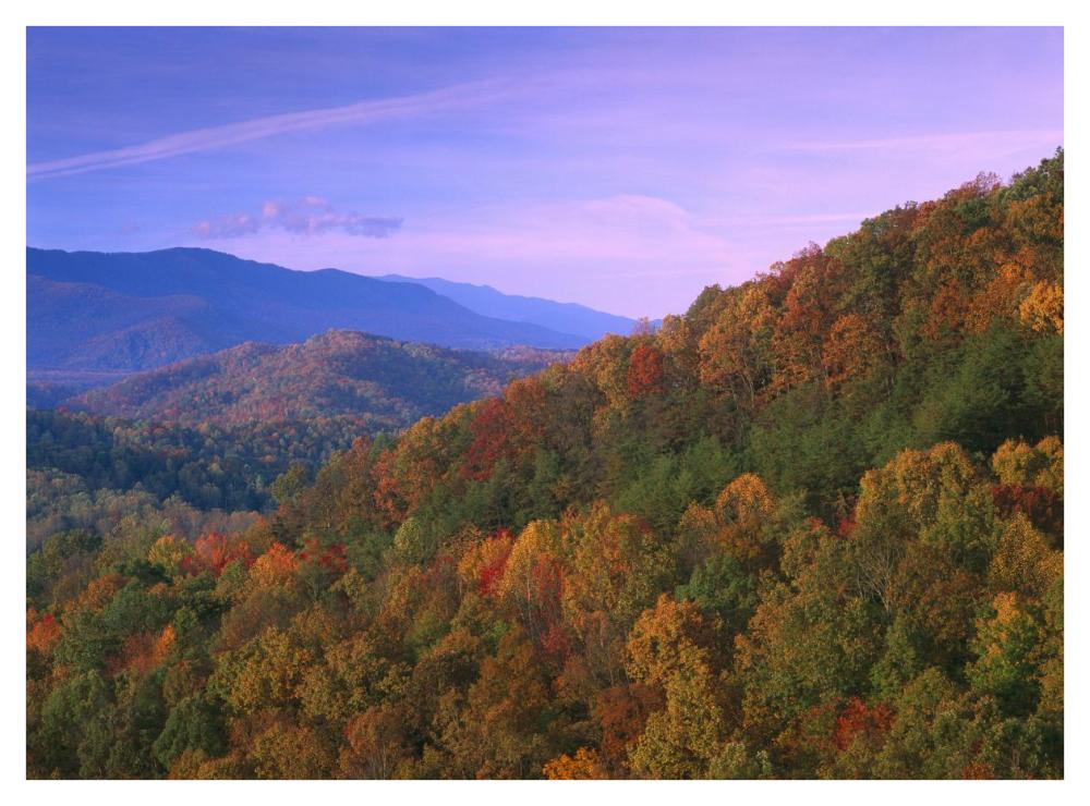 Appalachian Mountains Ablaze With Fall Color, Great Smoky Mountains National Park, North Carolina-Paper Art-42X32
