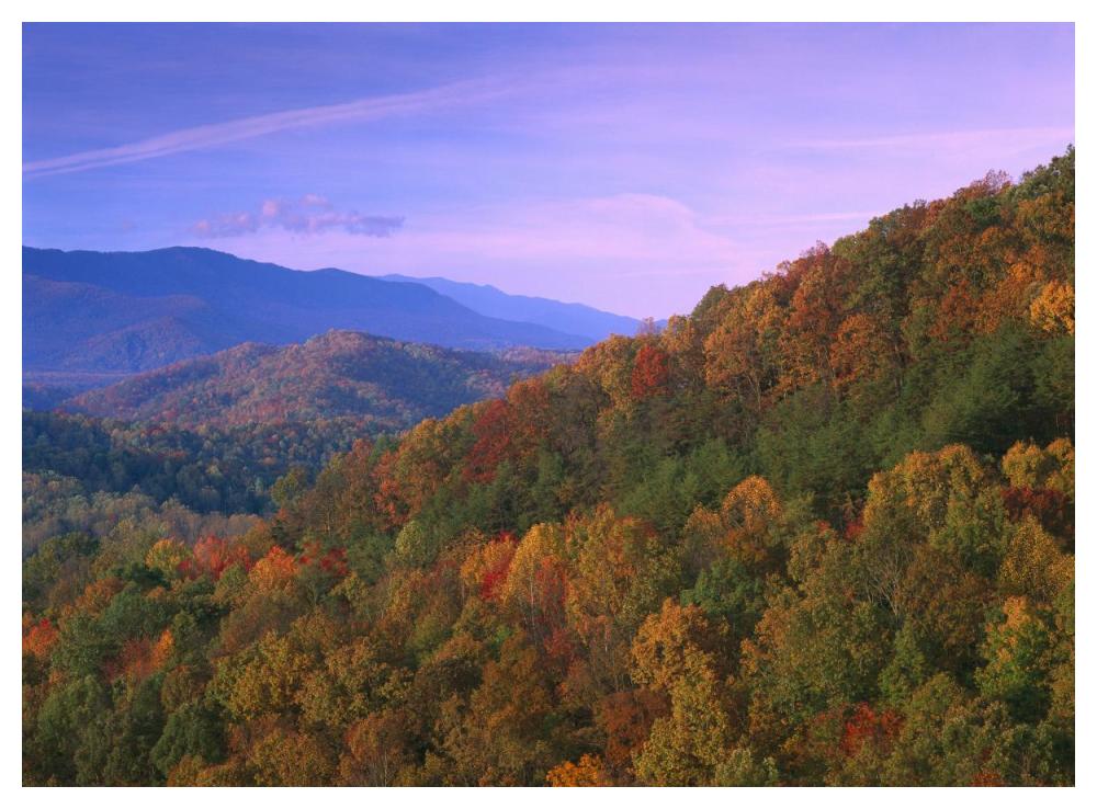Appalachian Mountains Ablaze With Fall Color, Great Smoky Mountains National Park, North Carolina-Paper Art-50X38