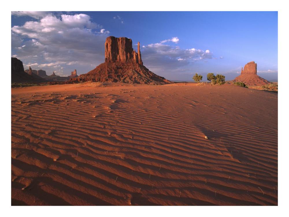 The East And West Mittens Surrounded By Rippled Sand, Monument Valley Navajo Tribal Park, Arizona-Paper Art-26X20