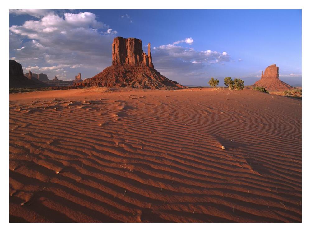 The East And West Mittens Surrounded By Rippled Sand, Monument Valley Navajo Tribal Park, Arizona-Paper Art-34X26