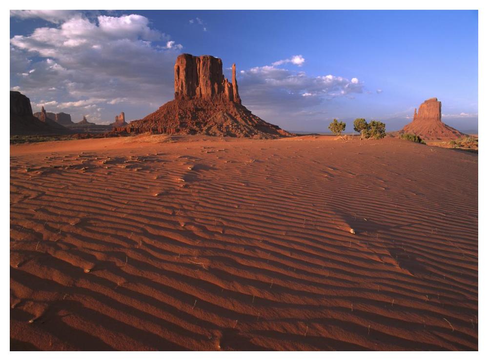 The East And West Mittens Surrounded By Rippled Sand, Monument Valley Navajo Tribal Park, Arizona-Paper Art-50X38