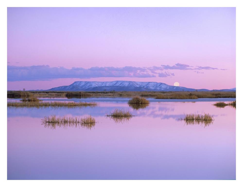 Full Moon Rising Over Sangre De Cristo Mountain Range, Alamosa National Wildlife Refuge, Colorado-Paper Art-18X14