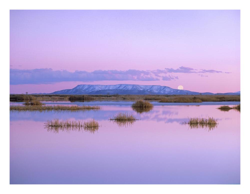 Full Moon Rising Over Sangre De Cristo Mountain Range, Alamosa National Wildlife Refuge, Colorado-Paper Art-26X20