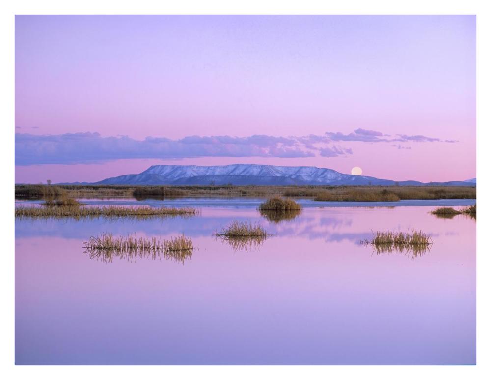 Full Moon Rising Over Sangre De Cristo Mountain Range, Alamosa National Wildlife Refuge, Colorado-Paper Art-34X26