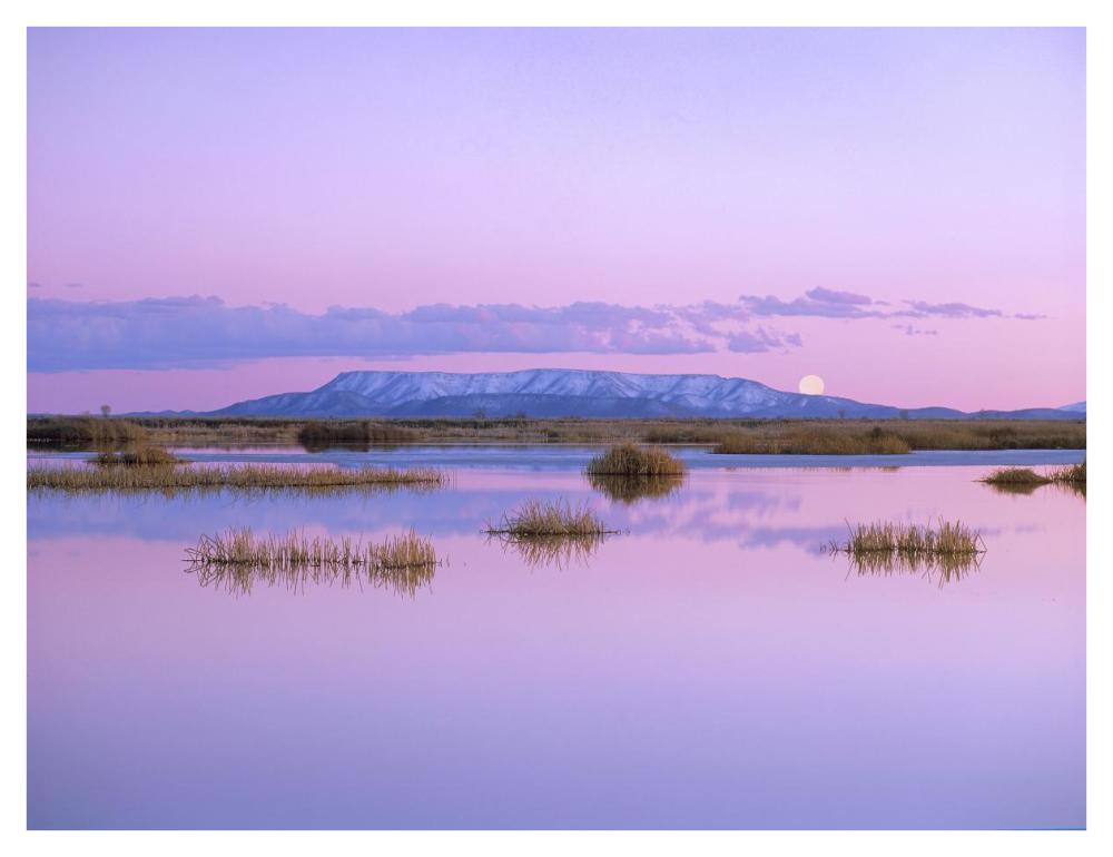 Full Moon Rising Over Sangre De Cristo Mountain Range, Alamosa National Wildlife Refuge, Colorado-Paper Art-42X32