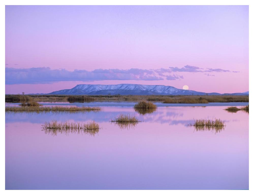 Full Moon Rising Over Sangre De Cristo Mountain Range, Alamosa National Wildlife Refuge, Colorado-Paper Art-50X38