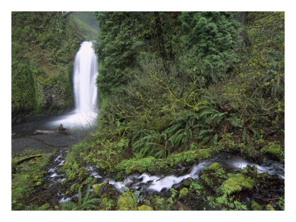 Multnomah Falls Cascading Through Temperate Rainforest, Columbia River Gorge Near Portland, Oregon-Paper Art-26X20