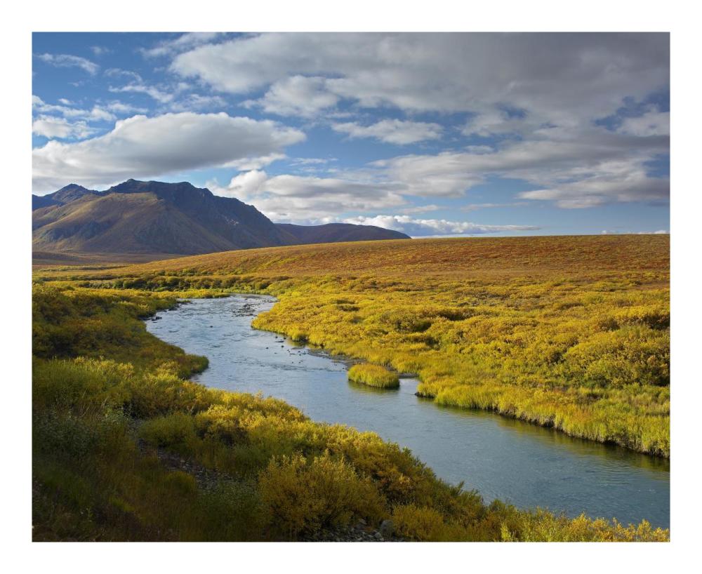 North Klondike River Flowing Through Tundra Beneath The Ogilvie Mountains, Yukon Territory, Canada-Paper Art-22X18