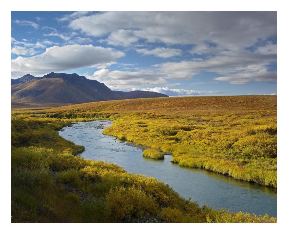 North Klondike River Flowing Through Tundra Beneath The Ogilvie Mountains, Yukon Territory, Canada-Paper Art-26X22