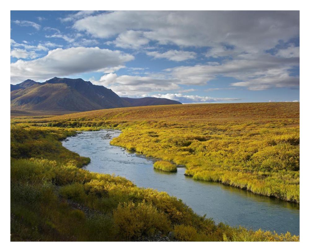North Klondike River Flowing Through Tundra Beneath The Ogilvie Mountains, Yukon Territory, Canada-Paper Art-30X24