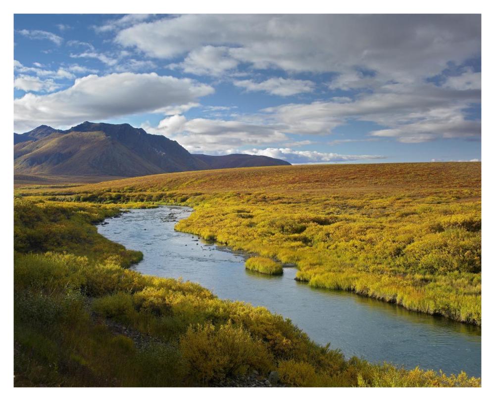 North Klondike River Flowing Through Tundra Beneath The Ogilvie Mountains, Yukon Territory, Canada-Paper Art-37X30