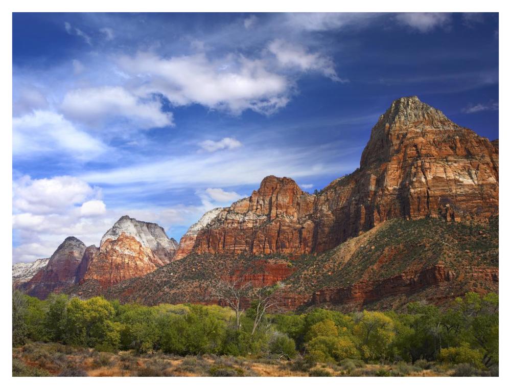 The Watchman, Outcropping Near South Entrance Of Zion National Park, Cottonwoods In Foreground, Utah-Paper Art-42X32