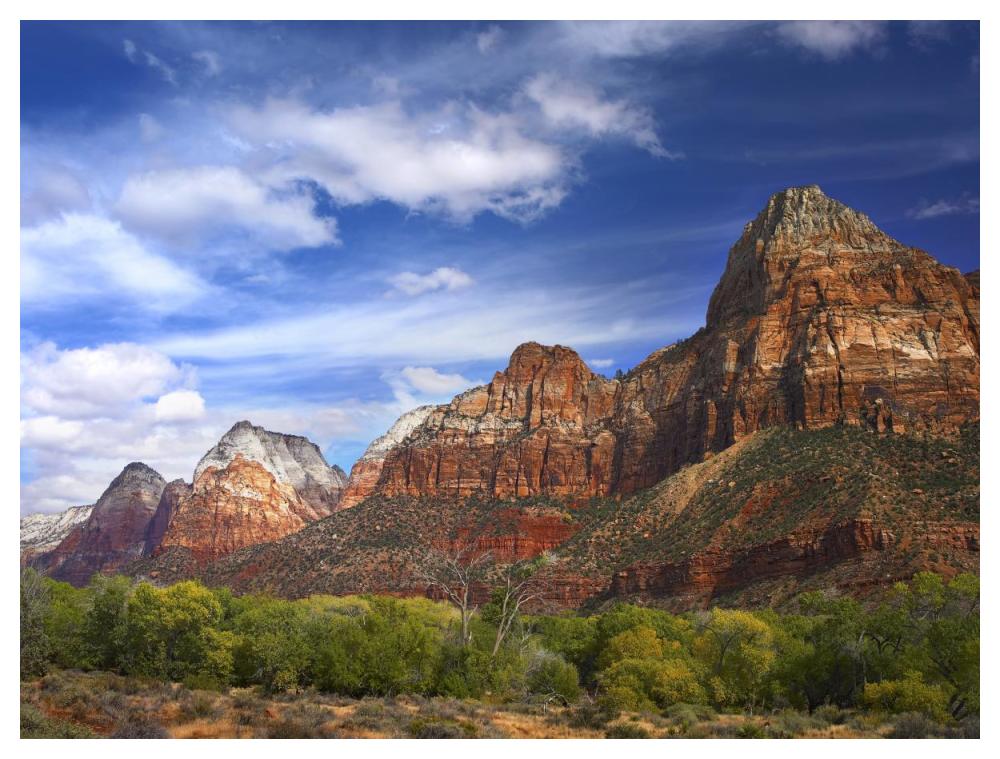 The Watchman, Outcropping Near South Entrance Of Zion National Park, Cottonwoods In Foreground, Utah-Paper Art-50X38