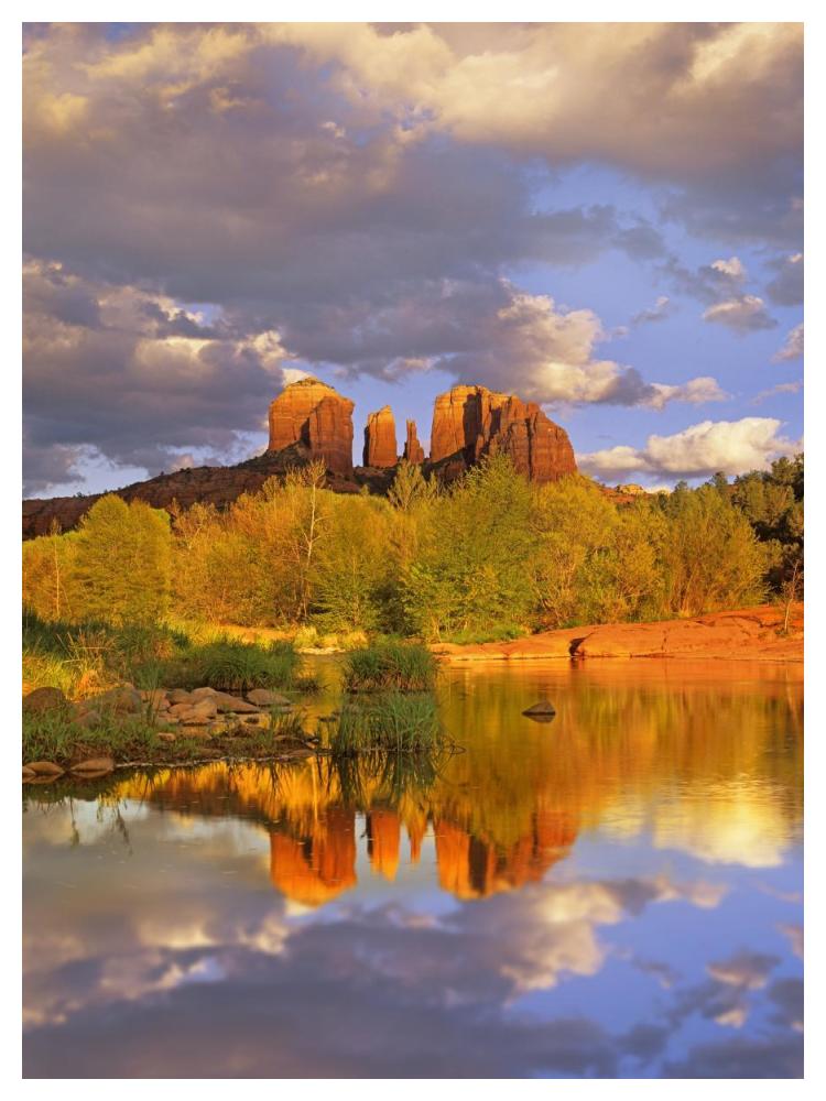 Cathedral Rock Reflected In Oak Creek At Red Rock Crossing, Red Rock State Park Near Sedona, Arizona-Paper Art-38X50