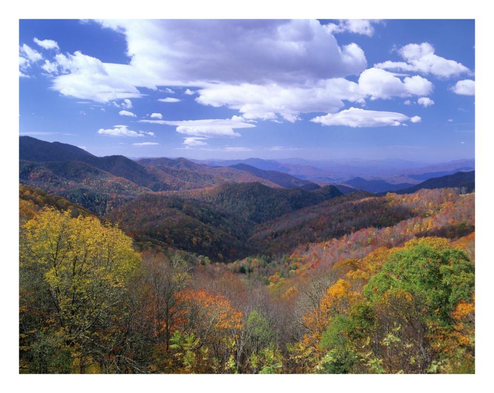 Deciduous Forest In The Autumn From Thunderstruck Ridge Overlook, Blue Ridge Parkway, North Carolina-Paper Art-26X20