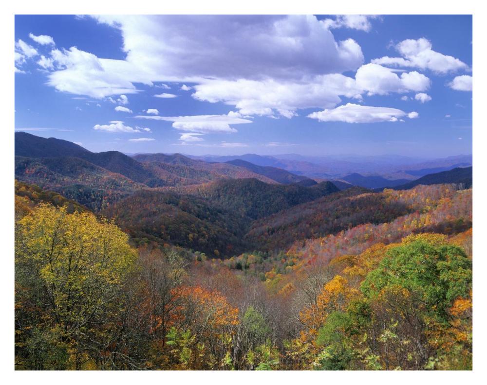 Deciduous Forest In The Autumn From Thunderstruck Ridge Overlook, Blue Ridge Parkway, North Carolina-Paper Art-34X26