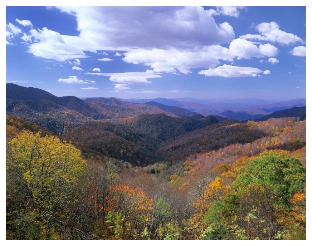 Deciduous Forest In The Autumn From Thunderstruck Ridge Overlook, Blue Ridge Parkway, North Carolina-Paper Art-50X38