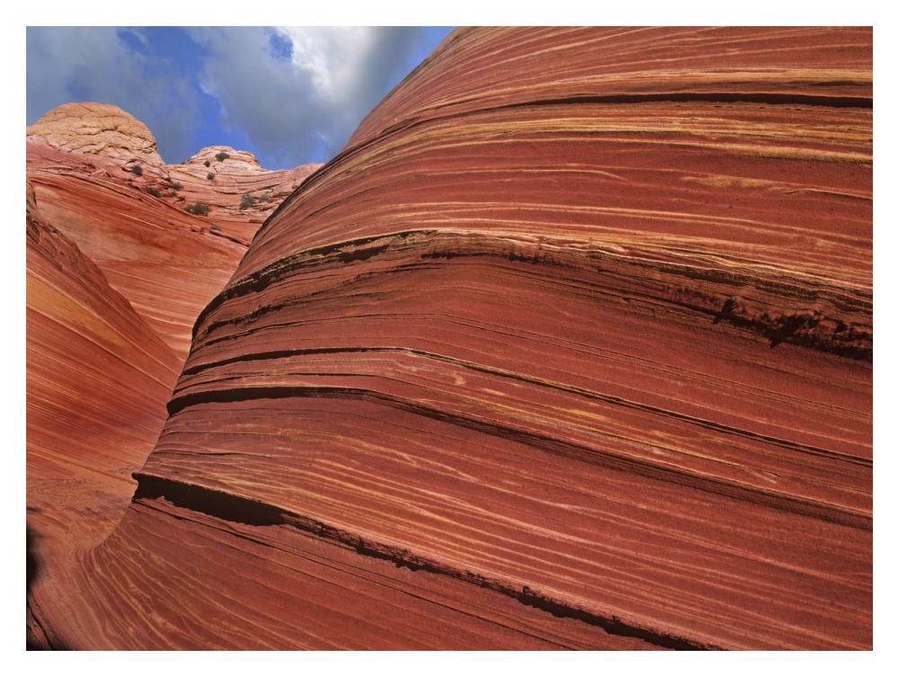 Detail Of The Wave, A Navajo Sandstone Formation In Paria Canyon-Vermilion Cliffs Wilderness, Arizona-Paper Art-18X14