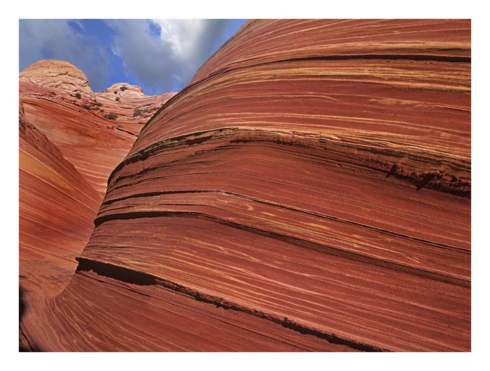 Detail Of The Wave, A Navajo Sandstone Formation In Paria Canyon-Vermilion Cliffs Wilderness, Arizona-Paper Art-26X20