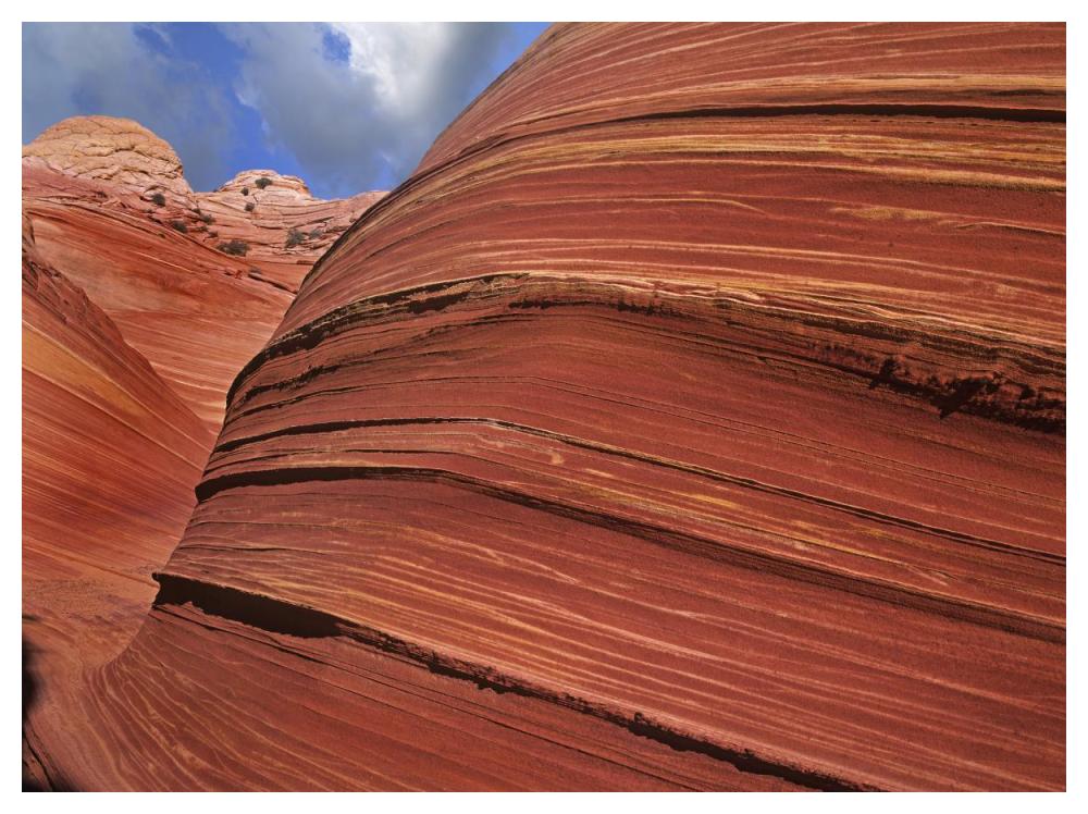 Detail Of The Wave, A Navajo Sandstone Formation In Paria Canyon-Vermilion Cliffs Wilderness, Arizona-Paper Art-50X38