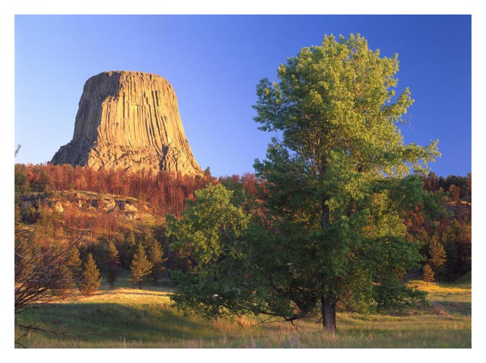 Devil'S Tower National Monument Showing Famous Basalt Tower, Sacred Site For Native Americans, Wyoming-Paper Art-34X26