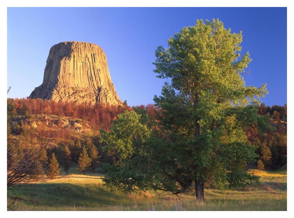 Devil'S Tower National Monument Showing Famous Basalt Tower, Sacred Site For Native Americans, Wyoming-Paper Art-42X32