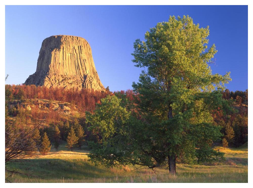 Devil'S Tower National Monument Showing Famous Basalt Tower, Sacred Site For Native Americans, Wyoming-Paper Art-50X38