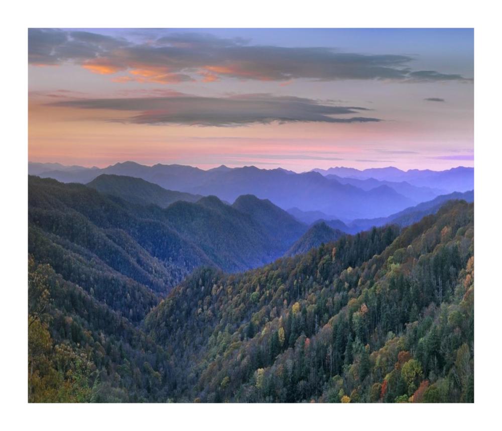 Deciduous Forest Covering Mountains, Newfound Gap, Great Smoky Mountains National Park, North Carolina-Paper Art-18X15.44