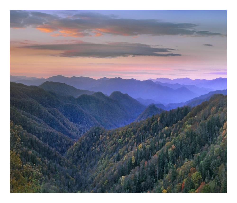 Deciduous Forest Covering Mountains, Newfound Gap, Great Smoky Mountains National Park, North Carolina-Paper Art-24X20.48