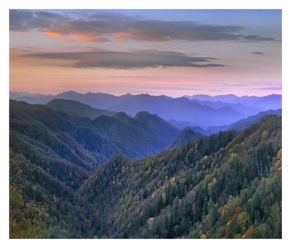 Deciduous Forest Covering Mountains, Newfound Gap, Great Smoky Mountains National Park, North Carolina-Paper Art-32X27.2