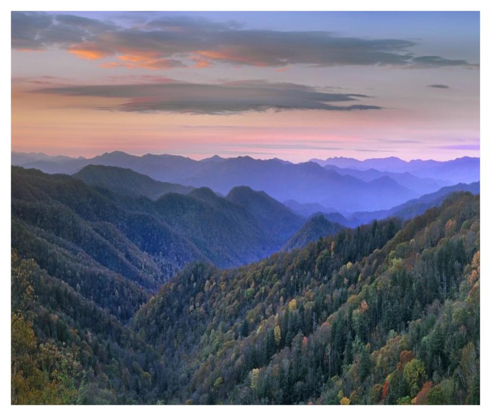 Deciduous Forest Covering Mountains, Newfound Gap, Great Smoky Mountains National Park, North Carolina-Paper Art-46X38.96