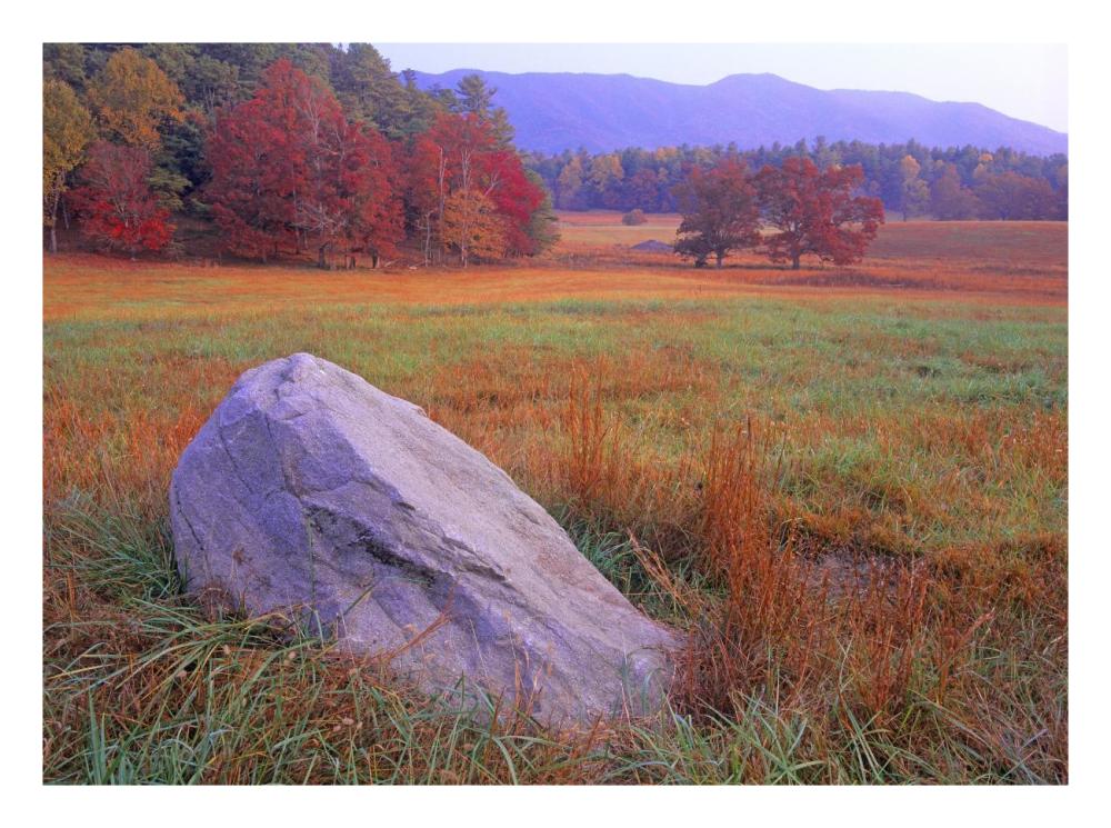 Boulder And Autumn Colored Deciduous Forest, Cades Cove, Great Smoky Mountains National Park, Tennessee-Paper Art-26X20