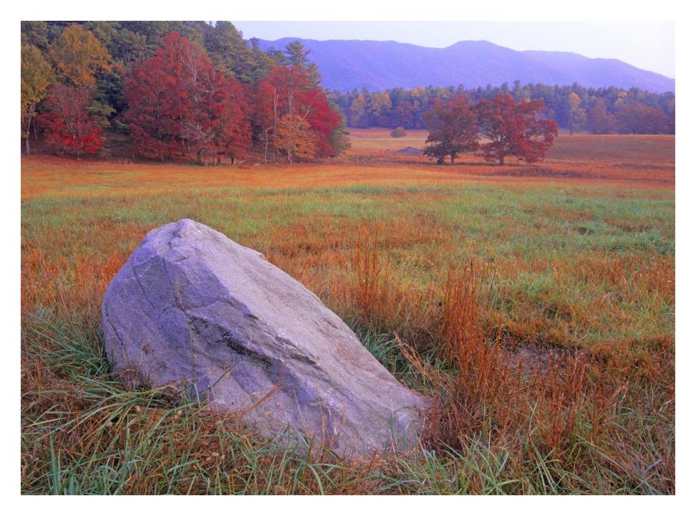 Boulder And Autumn Colored Deciduous Forest, Cades Cove, Great Smoky Mountains National Park, Tennessee-Paper Art-34X26