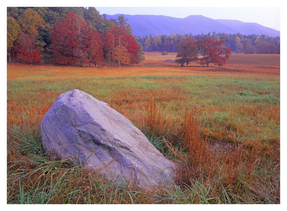 Boulder And Autumn Colored Deciduous Forest, Cades Cove, Great Smoky Mountains National Park, Tennessee-Paper Art-42X32