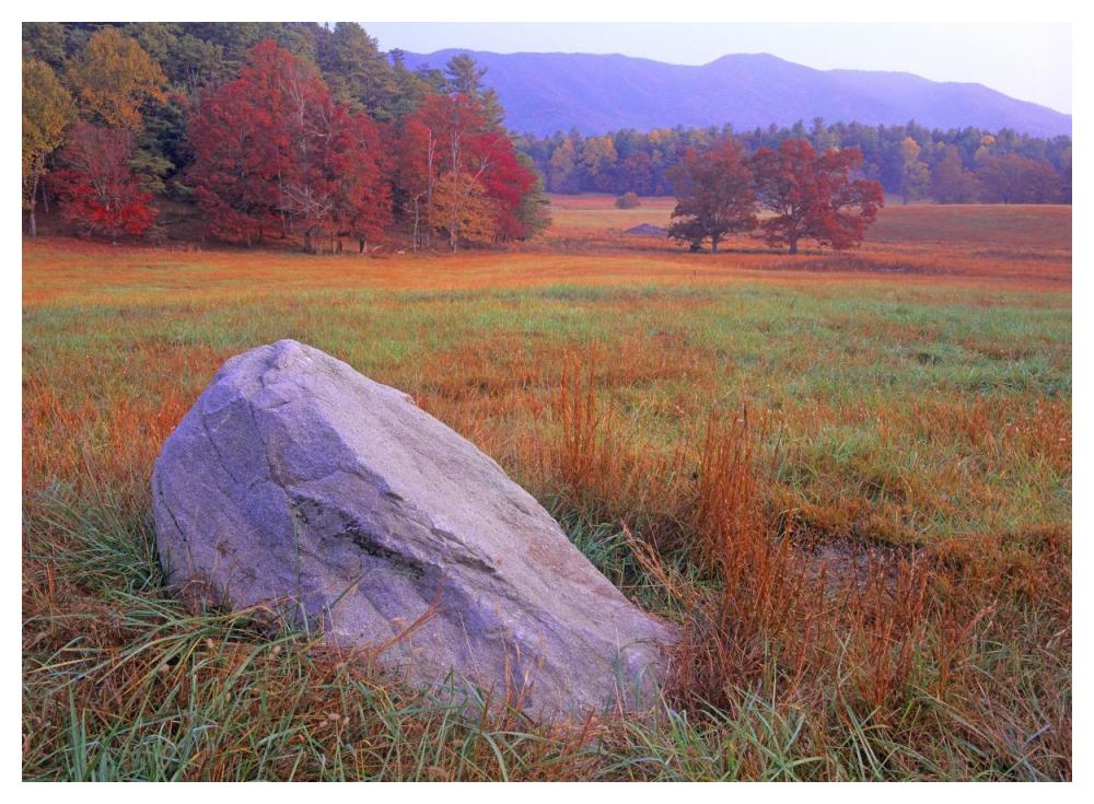 Boulder And Autumn Colored Deciduous Forest, Cades Cove, Great Smoky Mountains National Park, Tennessee-Paper Art-50X38