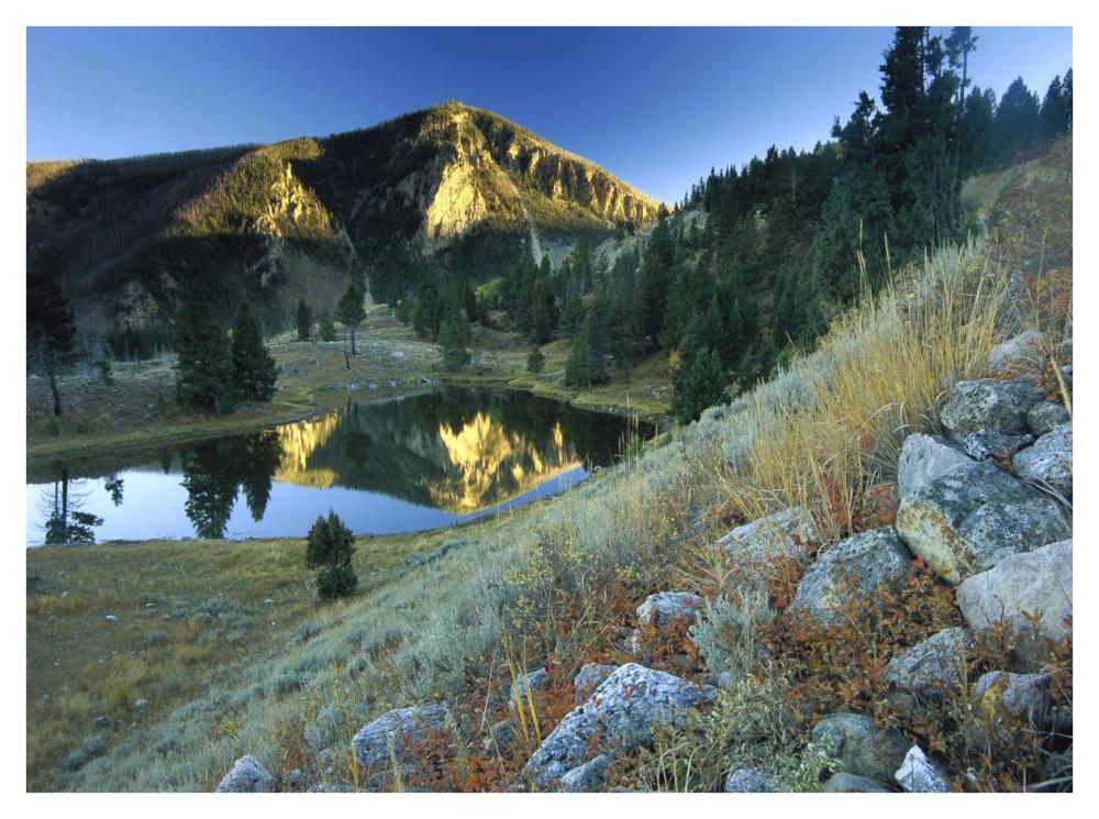 Bunsen Peak, An Ancient Volcano Cone, Reflected In Lake, Near Mammoth, Yellowstone National Park, Wyoming-Paper Art-42X32