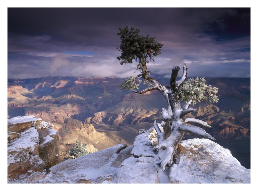 South Rim Of Grand Canyon With A Dusting Of Snow Seen From Yaki Point, Grand Canyon National Park, Arizona-Paper Art-18X14