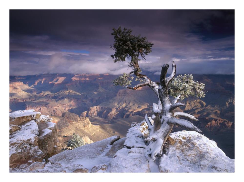 South Rim Of Grand Canyon With A Dusting Of Snow Seen From Yaki Point, Grand Canyon National Park, Arizona-Paper Art-26X20